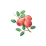 Huon Valley Council (Pre-production)