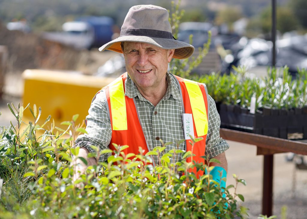 Volunteer in safety vest and wide-brimmed hat tends to plants in a nursery garden, surrounded by green seedlings and planters